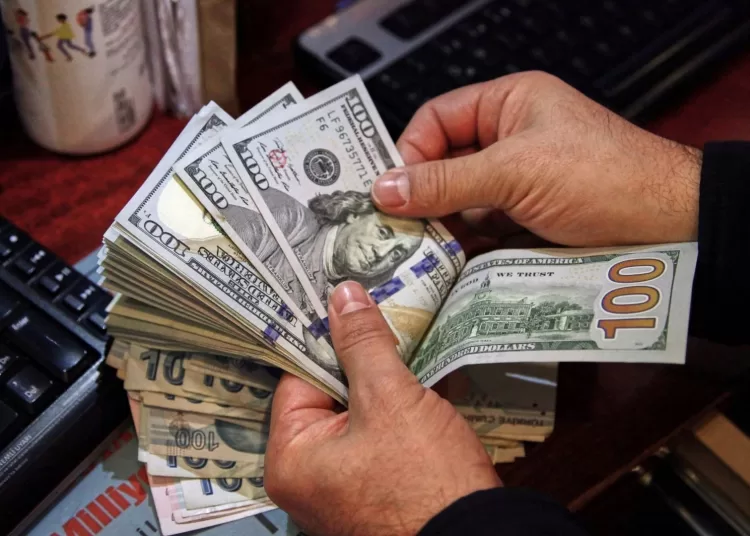 Egyptian expats' remittances hit record $47.3b in 2025/2026 12 - Egyptian Gazette