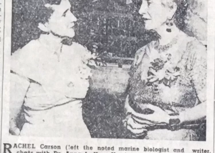 Rachel Carson receives achievement award 12 - Egyptian Gazette