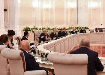 Sisi reviews national challenges, development priorities