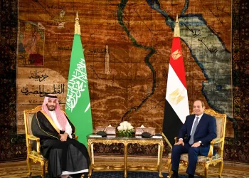 Sisi, Bin Salman discuss ties, regional developments
