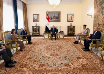 Sisi, Cypriot defence min. discuss strategic, military co-operation