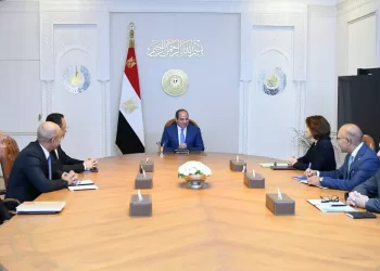 Sisi calls for more Orange investment, digital skills training