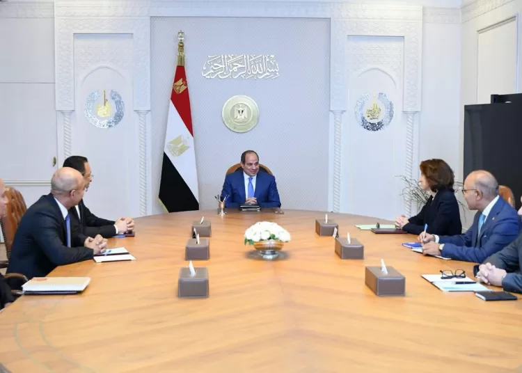 Sisi calls for more Orange investment, digital skills training 11 - Egyptian Gazette