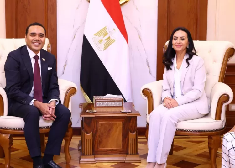 Egypt, Singapore to expand co-operation in social protection, humanitarian work 12 - Egyptian Gazette