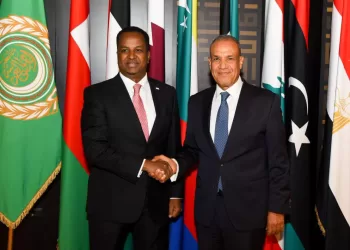 Egypt, Somalia FMs discuss strategic partnership