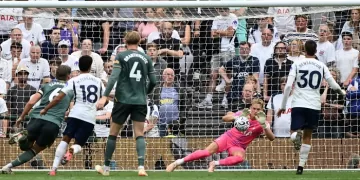 EPL: Tottenham frustrated by Everton