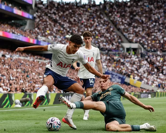 EPL: Tottenham frustrated by Everton 13 - Egyptian Gazette
