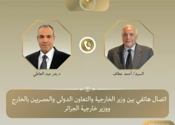 Egypt, Algeria discuss bilateral ties, regional issues by phone