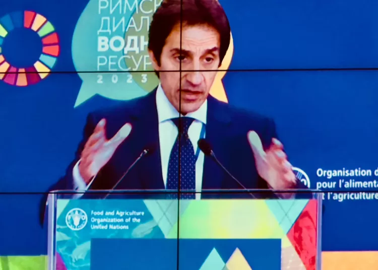 Egypt highlights UN complex in New Capital at Rome meeting 12 - Egyptian Gazette