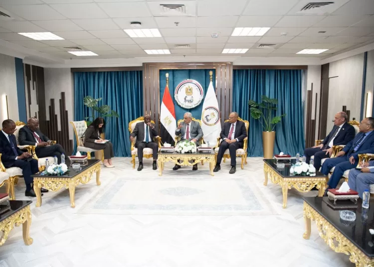 Egypt, Angola probe defence, industrial partnerships 11 - Egyptian Gazette