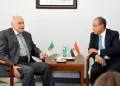 Egypt, Algeria FMs probe bilateral ties, regional developments
