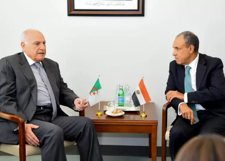 Egypt, Algeria FMs probe bilateral ties, regional developments 11 - Egyptian Gazette