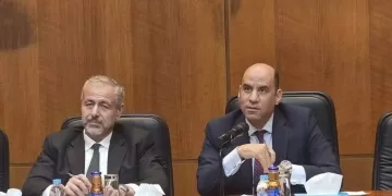 Minister: Egypt prioritises rights of citizens abroad