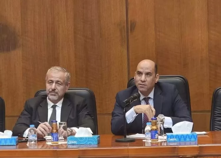 Minister: Egypt prioritises rights of citizens abroad 11 - Egyptian Gazette