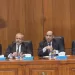 Minister: Egypt prioritises rights of citizens abroad