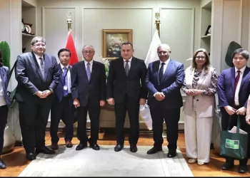 Egypt, Japan bolster co-operation in higher education