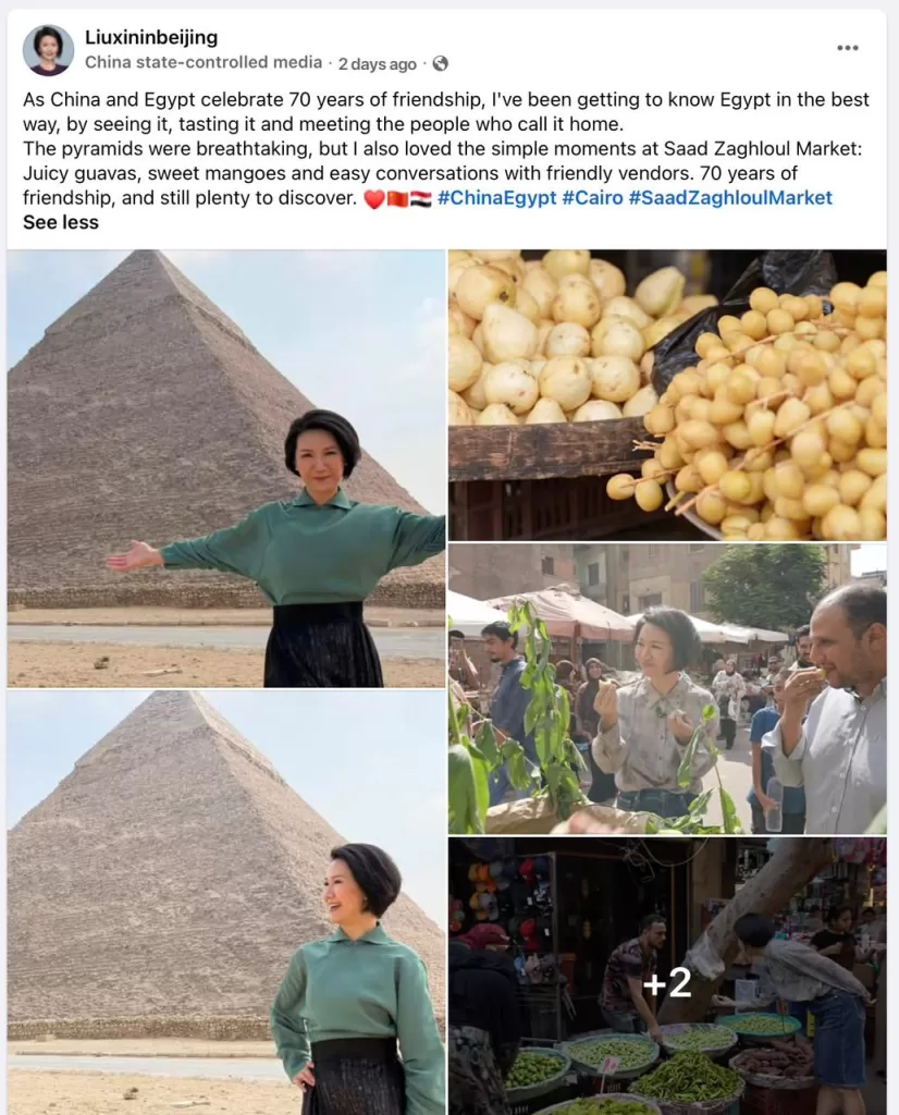 Chinese broadcaster praises Egyptians’ warmth during Cairo visit 16 - Egyptian Gazette