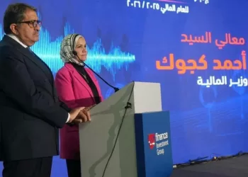 Egypt to further ease tax procedures