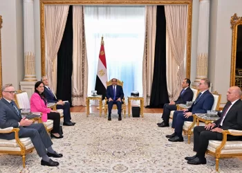 Sisi, AngloGold Ashanti chief discuss mining expansion