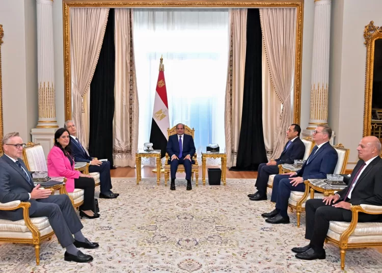 Sisi, AngloGold Ashanti chief discuss mining expansion 12 - Egyptian Gazette