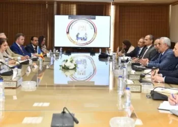 Cairo, Bucharest probe fresh avenues for military production co-operation