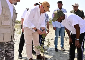 Egypt expands efforts to protect mangrove ecosystems