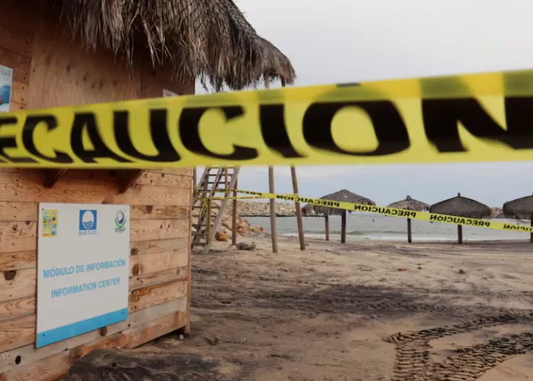 Category 5 Hurricane Polo threatens Mexico’s coast 10 - Egyptian Gazette