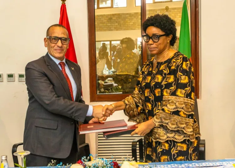 Cairo, Yaoundé to launch direct air link 12 - Egyptian Gazette