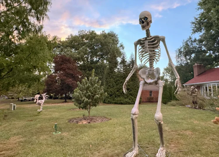 A 12-foot Home Depot skeleton stands in the front yard of a Cincinnati home on Sept. 24, 2024. (AP Photo)