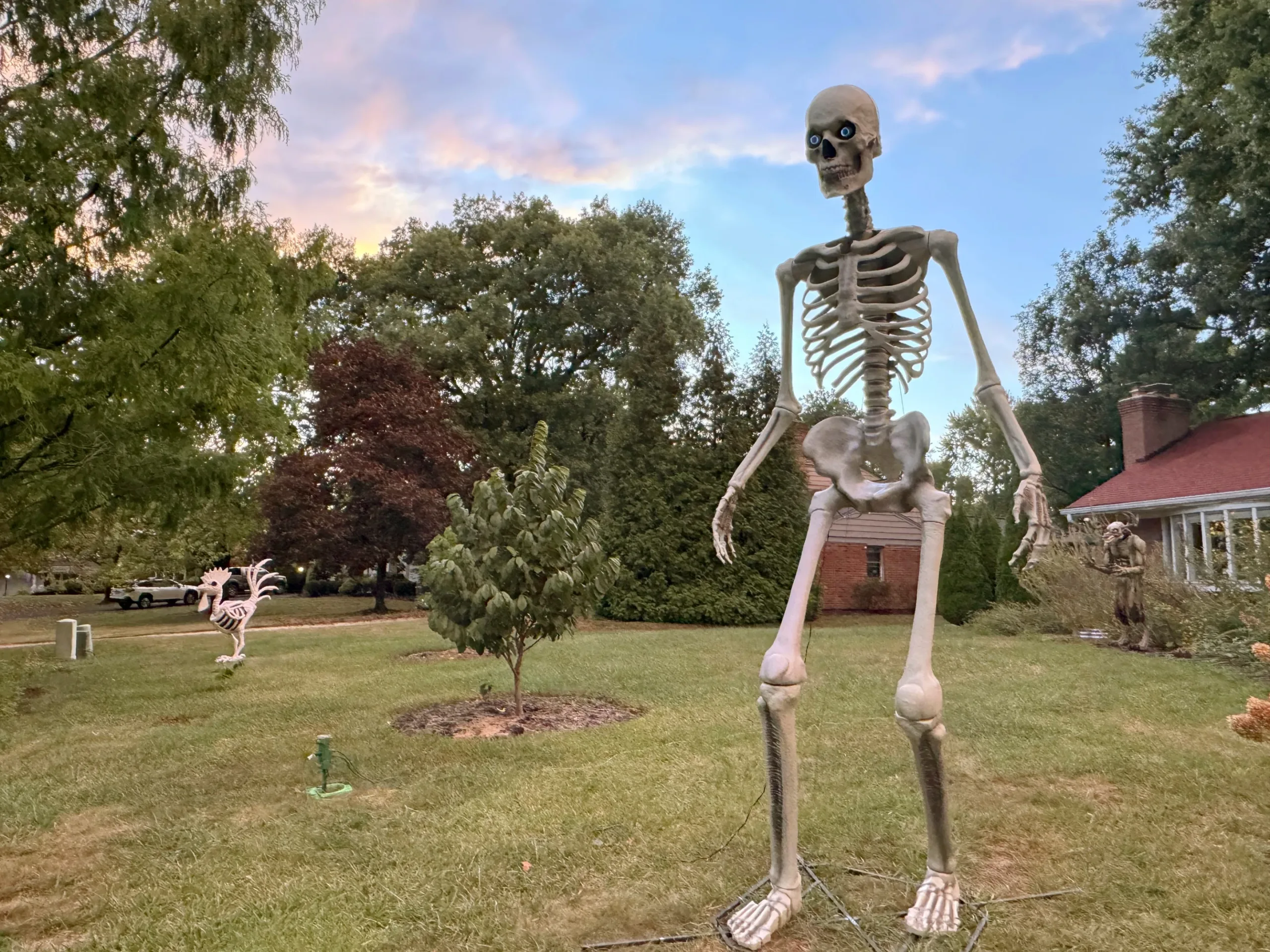 Giant skeletons take over American Halloween