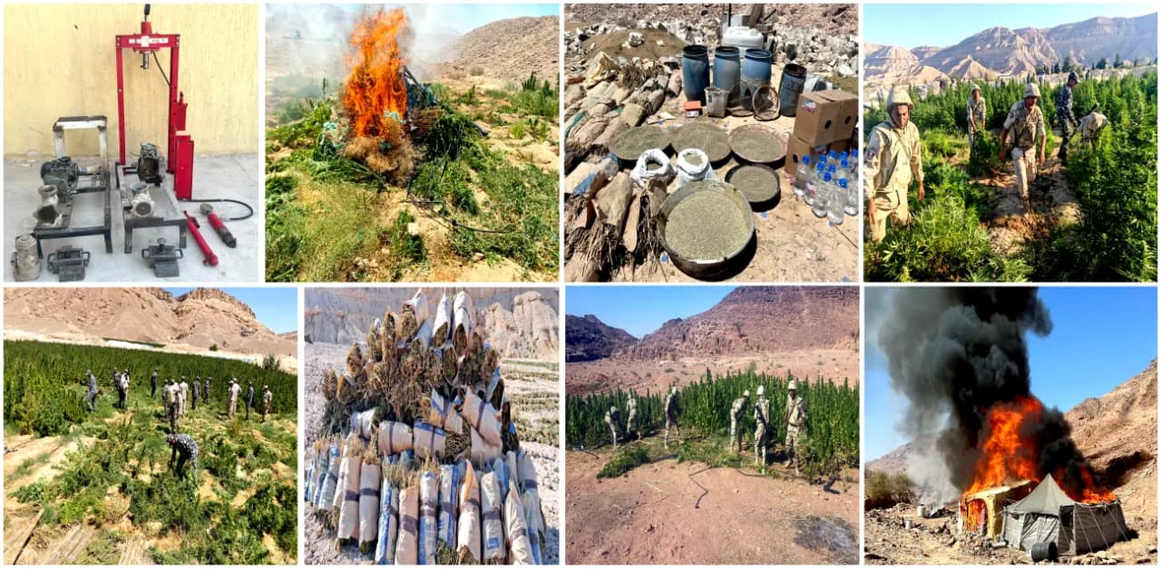 Border Guards seize 241 tonnes of drugs, foil 213 illegal migration attempts