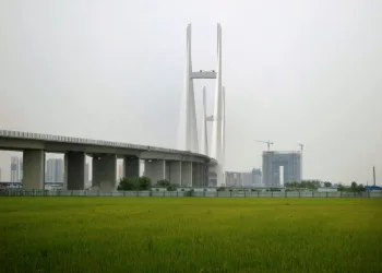 Bridge