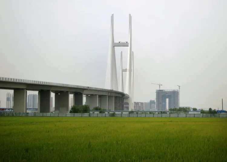 Bridge