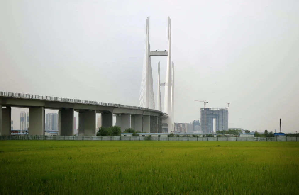 Bridge
