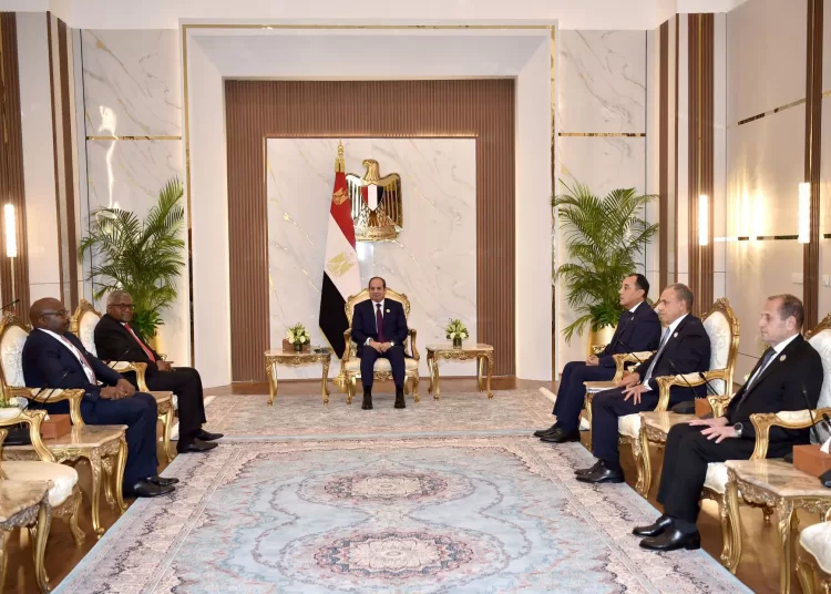 Sisi discusses expanding Dangote investments in Egypt 12 - Egyptian Gazette