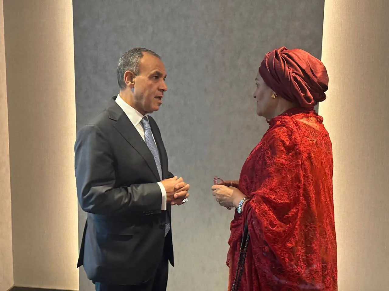 Egypt FM, UN deputy chief discuss regional challenges