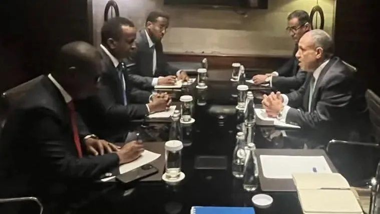 Egypt, Somalia FMs review ties, regional developments