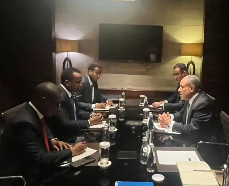 Egyptian, Somali FMs probe ties, regional developments