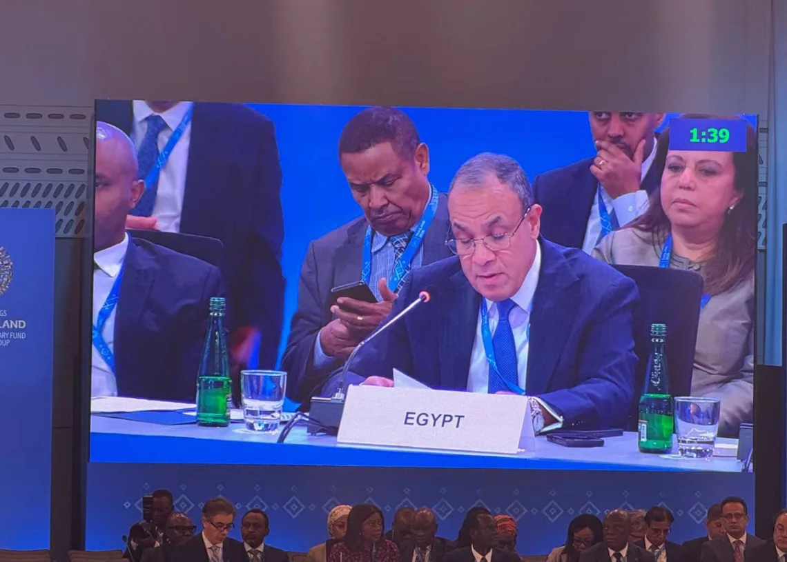 FM stresses Egypt’s economic resilience 12 - Egyptian Gazette