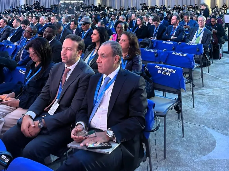 Egypt calls for stronger global co-operation at IMF, WB talks