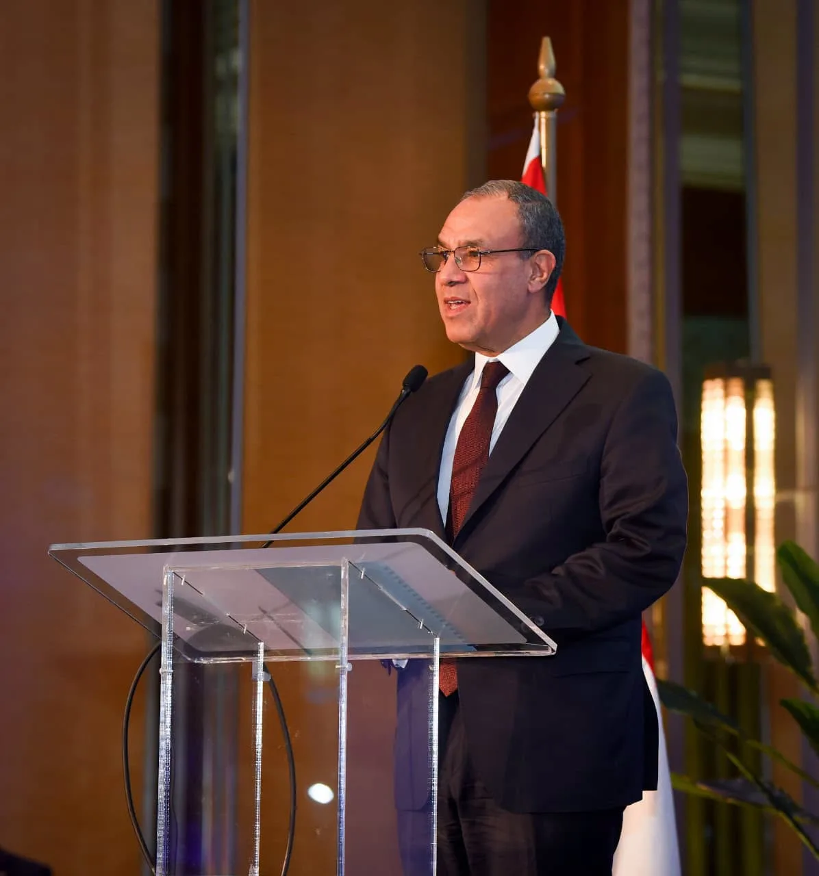 FM: Egypt keen to become regional manufacturing hub