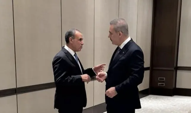 Egypt, Türkiye discuss regional developments