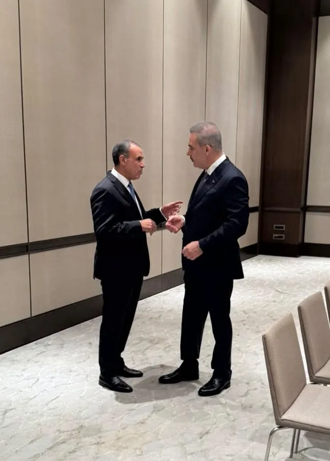Egypt, Türkiye discuss regional developments