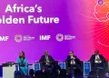 Planning Minister outlines Egypt’s vision for private sector-led growth in Africa