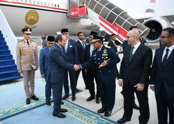 Sisi lands in Indonesia for official visit