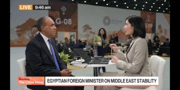 Egypt’s FM highlights growing Asian ties, reaffirms support for Saudi Arabia