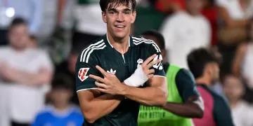 Torres withdrawn from Spain squad due to injury