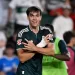 Torres withdrawn from Spain squad due to injury