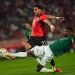 South Africa edge Egypt 1–0 in Cairo friendly 1 - Egyptian Gazette South Africa edge Egypt 1–0 in Cairo friendly