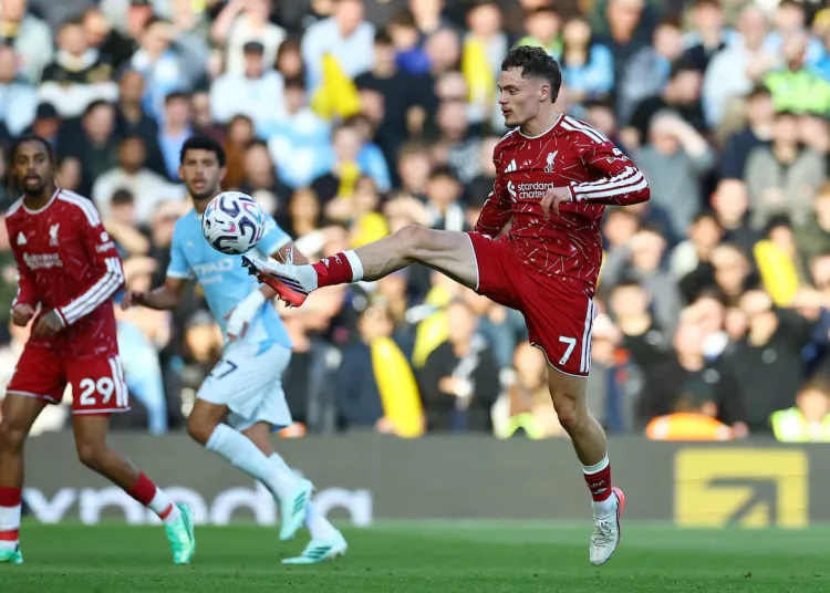 Liverpool boss Iraola has 100% trust in Wirtz, Barcola 13 - Egyptian Gazette Liverpool boss Iraola has 100% trust in Wirtz, Barcola 12 - Egyptian Gazette